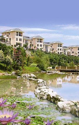 �����a(ch��n)�I(y��)